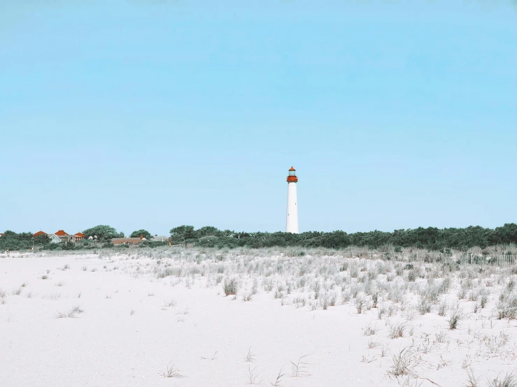 a lighthouse surrounded by tall grass against a blue sky