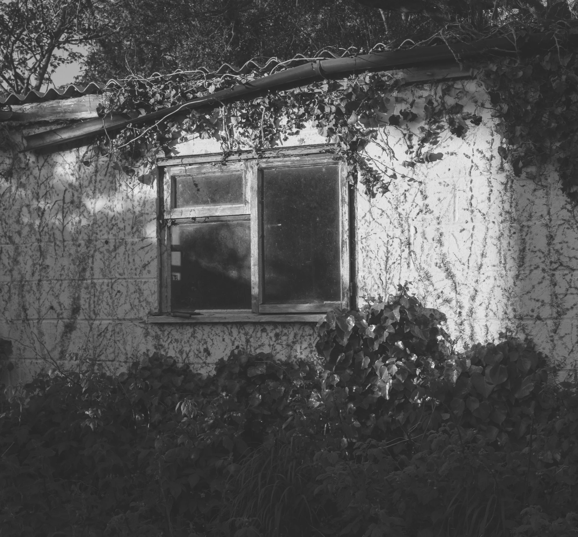 a black and white image of an old building with vines growing around the window