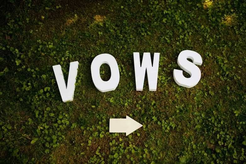 word vows spelled in grass with a white arrow pointing at it