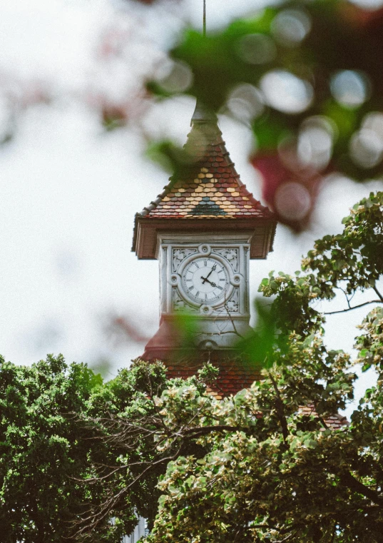 this is an image of a clock tower looking through some trees