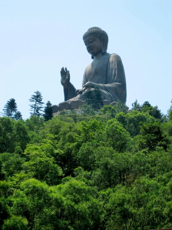 a buddha statue sits on top of a hill surrounded by trees