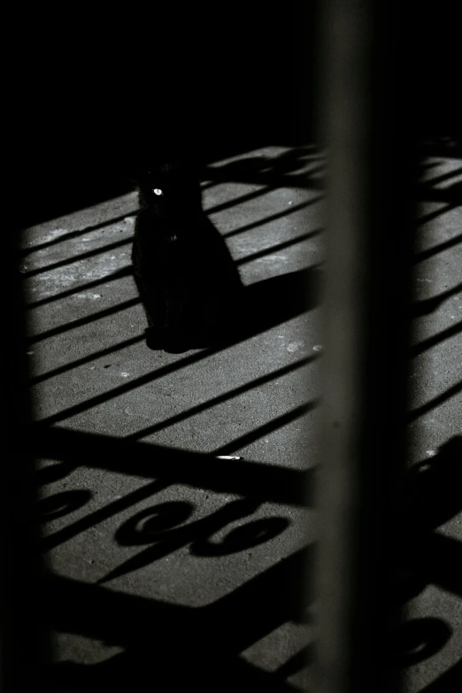 the shadows of a bench and some suitcases on the floor