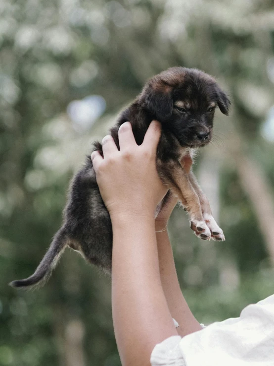 a man holding a dog in his right hand