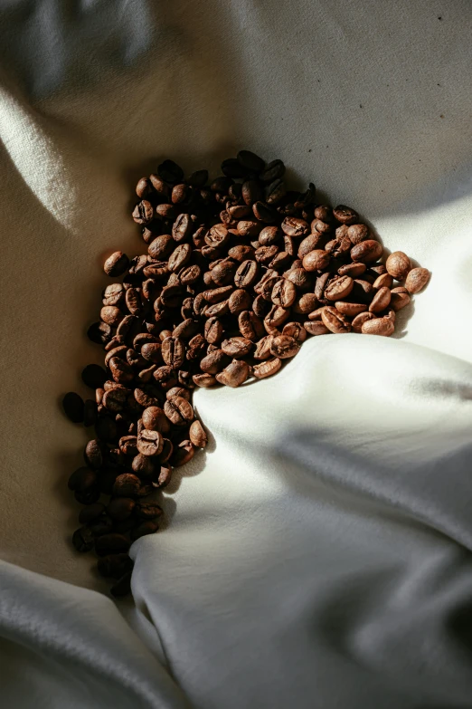 coffee beans scattered in a wavy shape laying on a white blanket