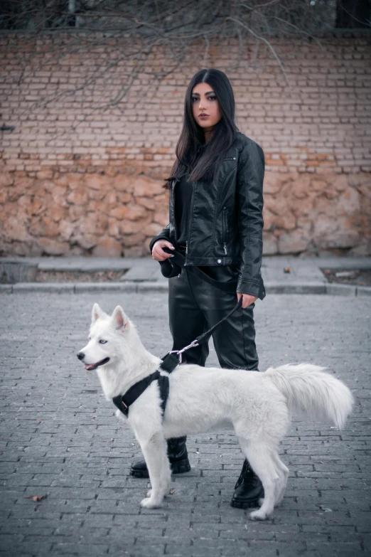 an attractive woman walking a large white dog on a leash