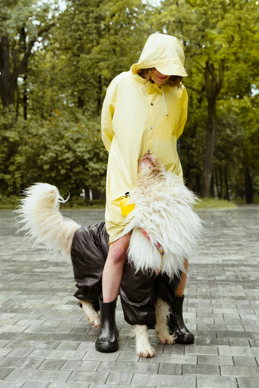 a person in a yellow chicken suit with a dog wearing boots