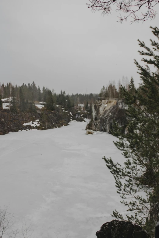 a snowy bank in the woods on a snowy day