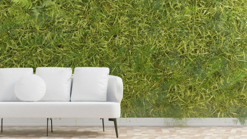 a couch sitting in front of a large green wall