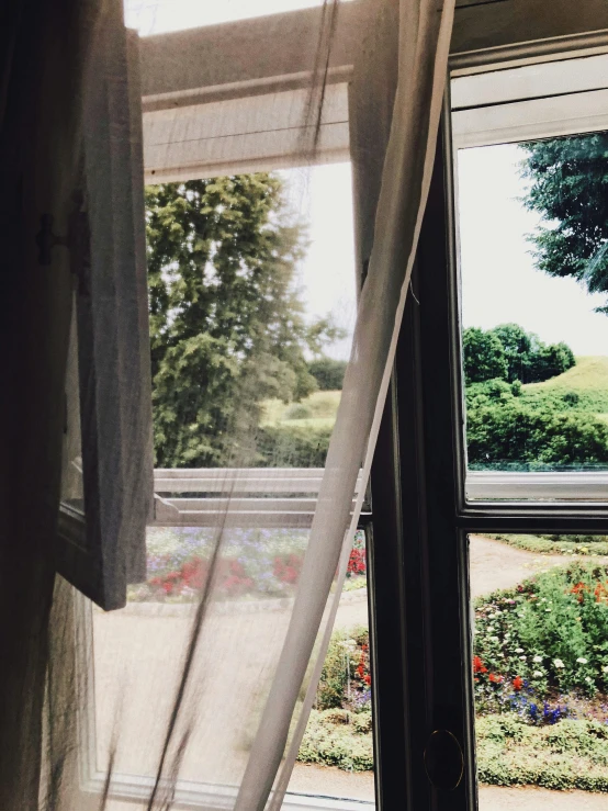 view out the window at a park, with lots of flowers