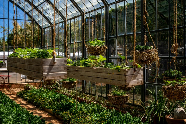 a garden area inside a building with lots of plants