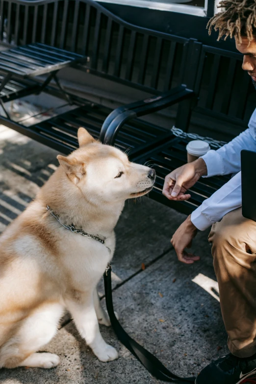 a man sitting on a bench pets a small dog