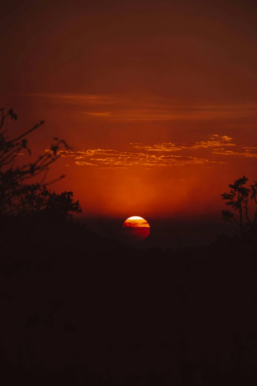 the sun is seen between the horizon and trees