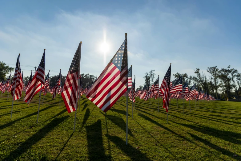 a group of american flags being flown on green grass