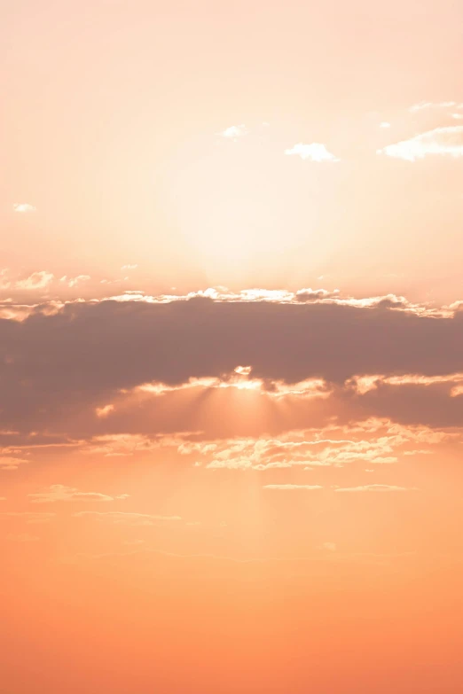 a bird flying in the sky during a beautiful sunrise