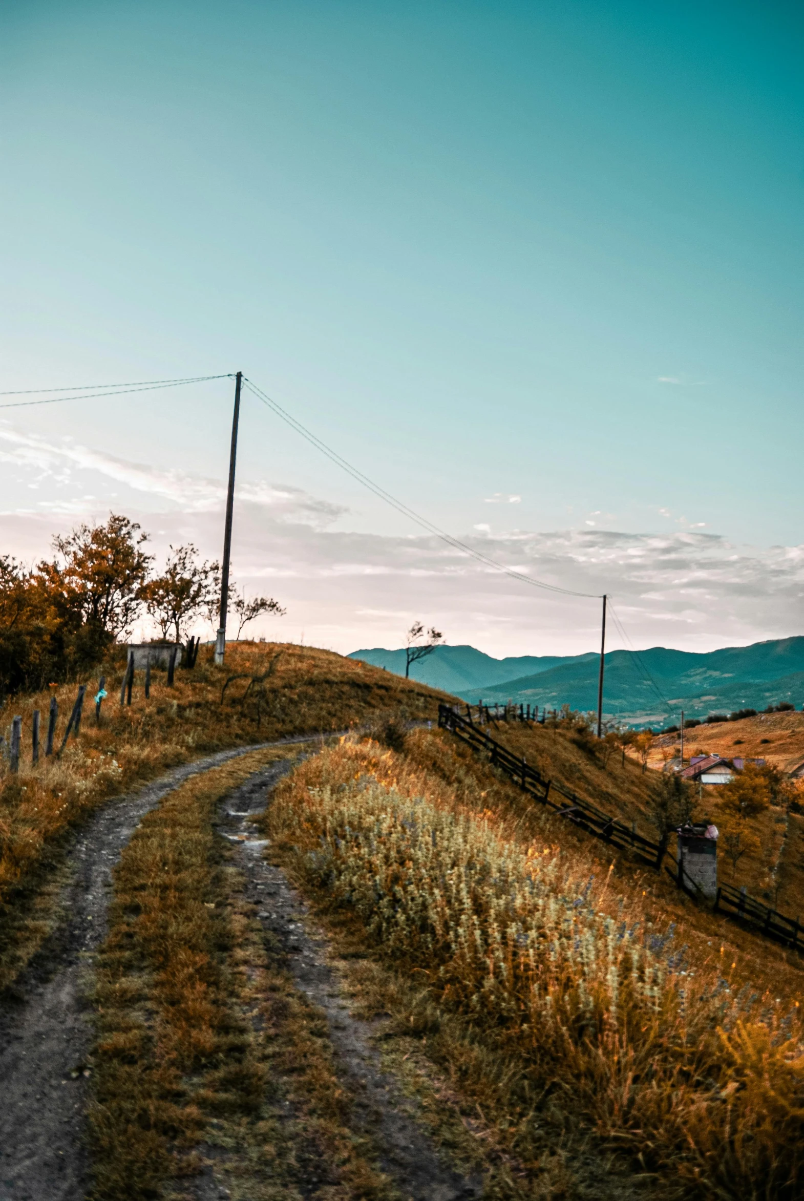 a man walks down a country dirt road