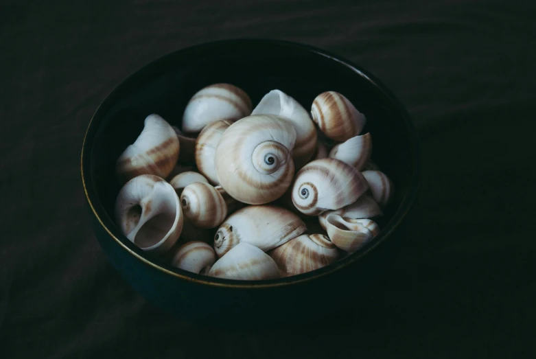 a container filled with lots of small shells