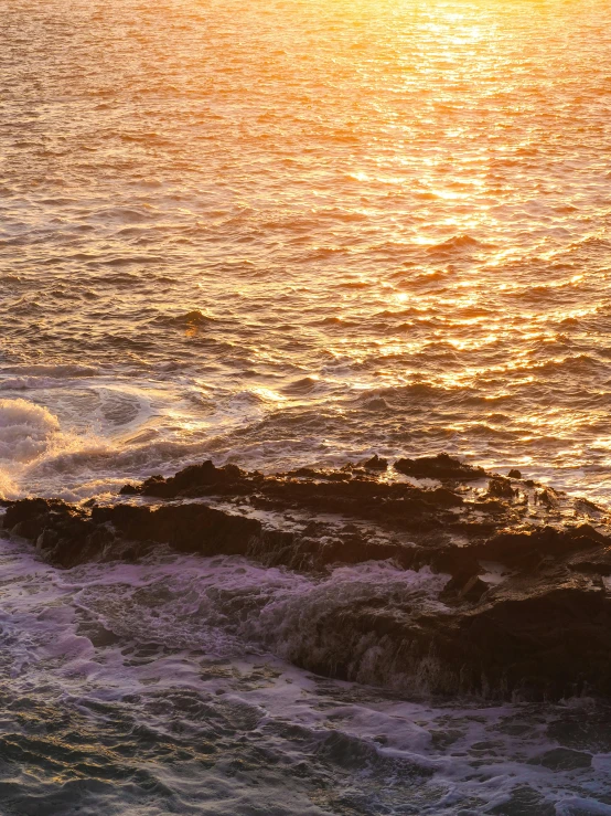 the surfer has just pulled up to the shore at sunset