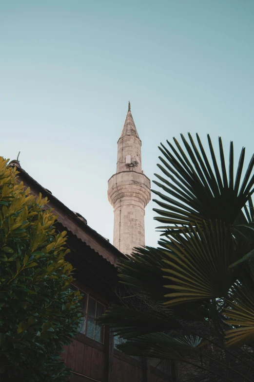 a tower in the distance and some trees near by