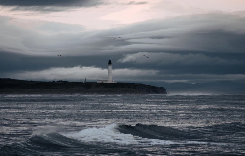 ocean with lighthouse in background surrounded by seagulls