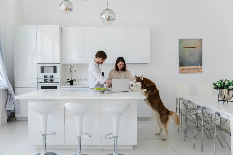 two people at a white kitchen work on a laptop