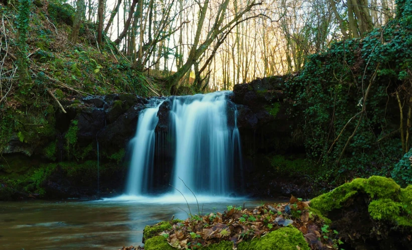 a small waterfall on the bank near a forest