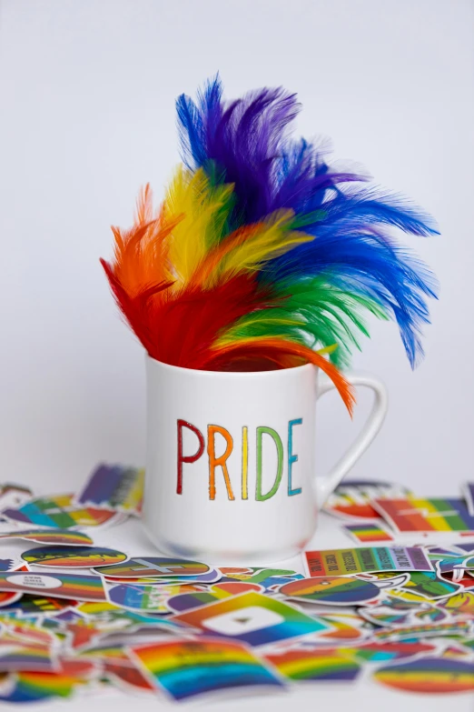 colorful feathers inside a white mug with the words pride