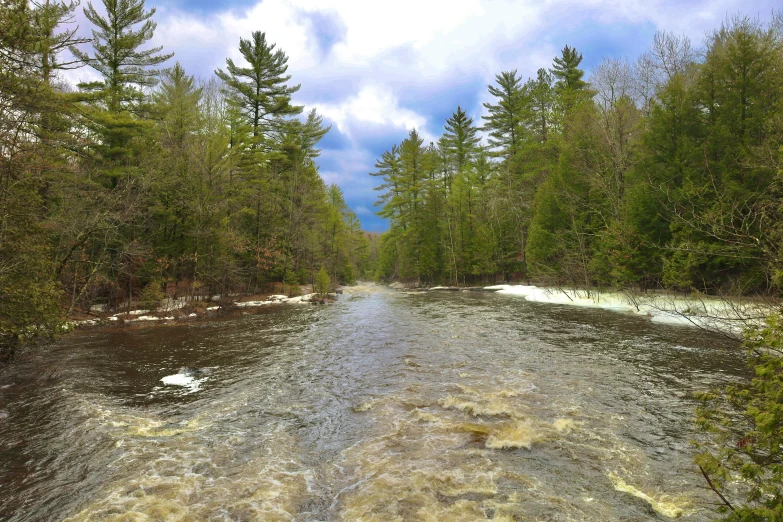 a boat is on a river running along the woods