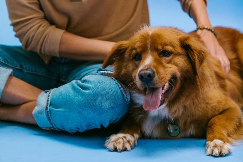 a dog sitting on the ground, getting its teeth brushed by someone's leg