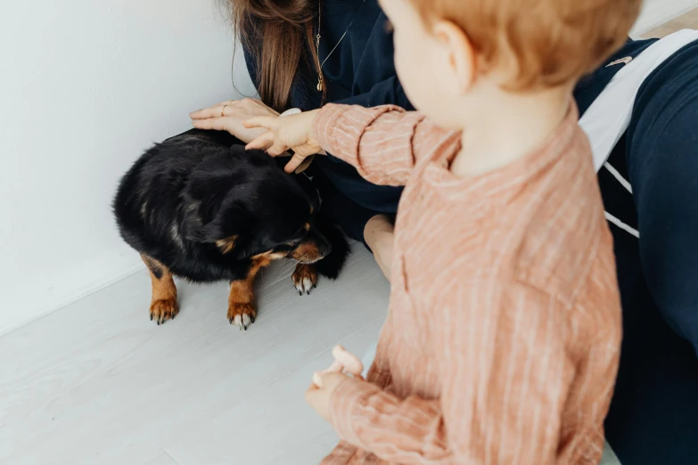 a little child is petting a small dog