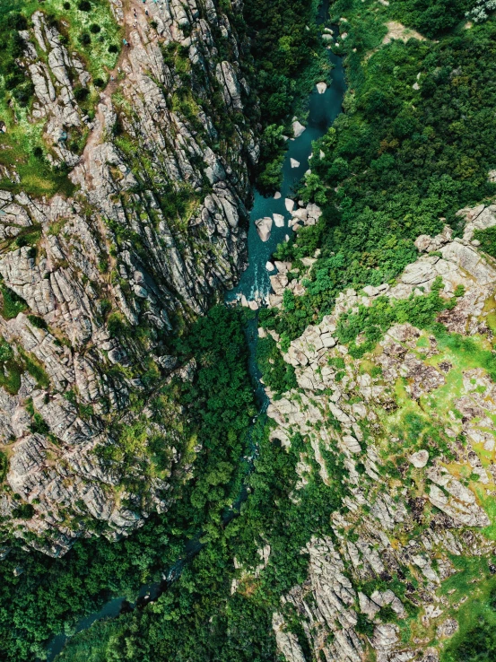 the top of the mountains is full of green vegetation