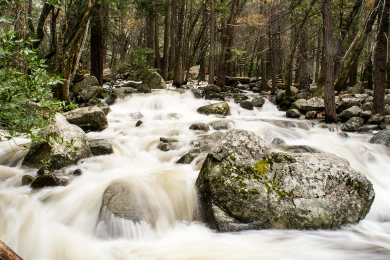 a river in the woods flowing over rocks and a log