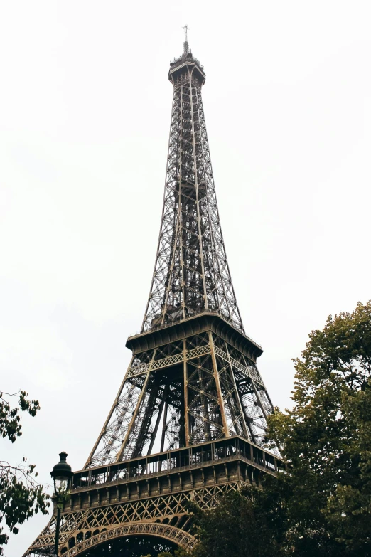 the view of the eiffel tower from behind the tree line