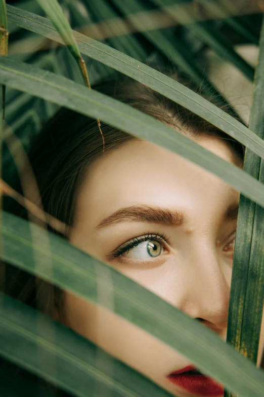 a girl's eye seen through the green leaves