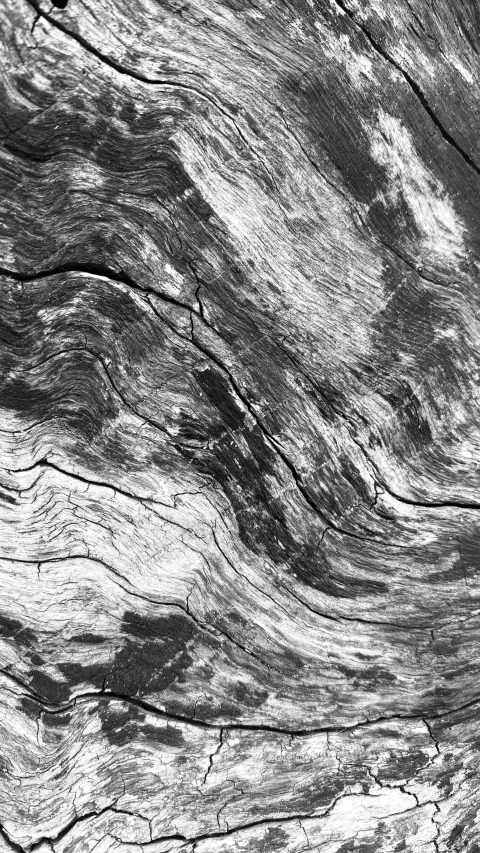 a black and white marble background with s