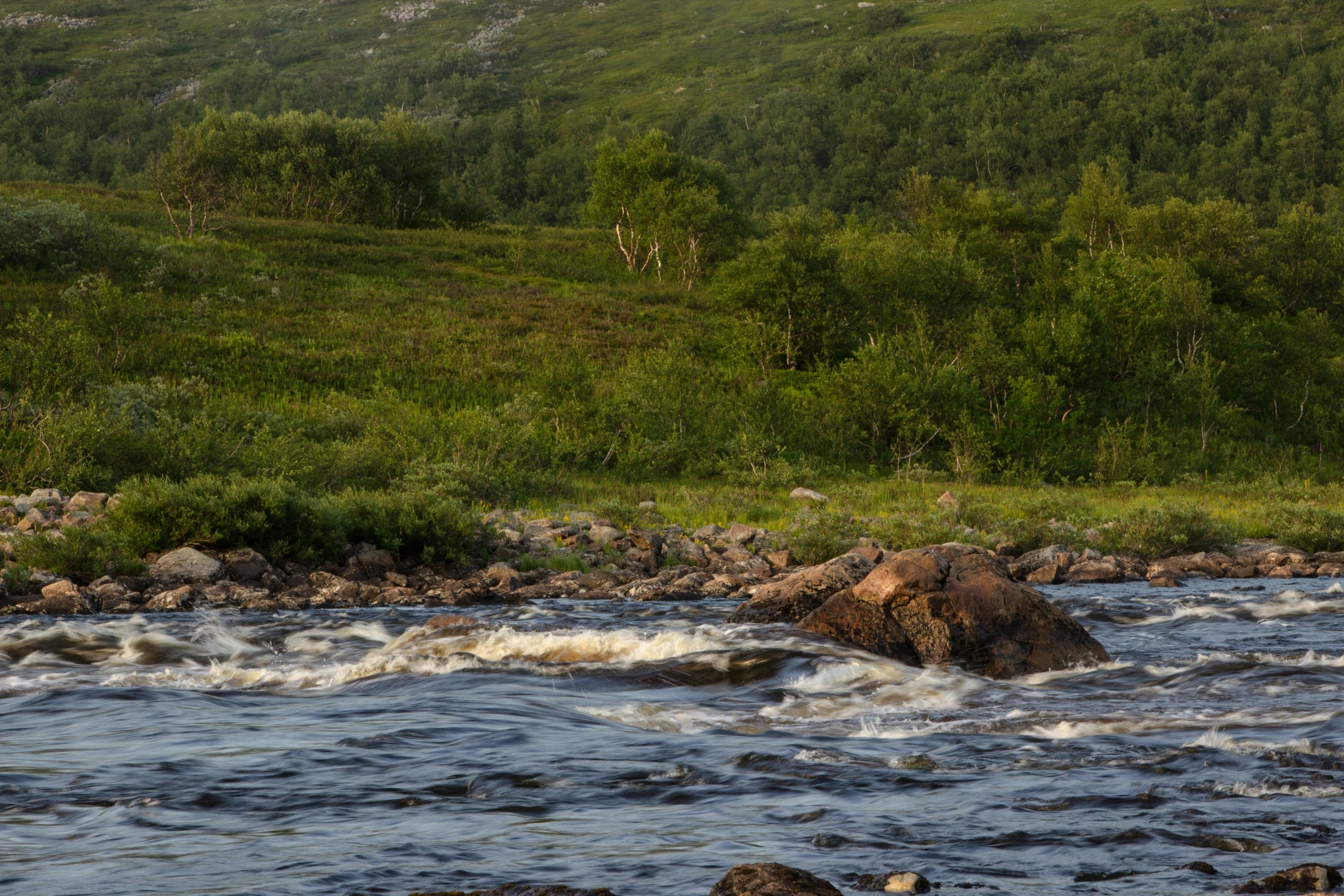 the man stands on a rock beside the water and looks at a forest