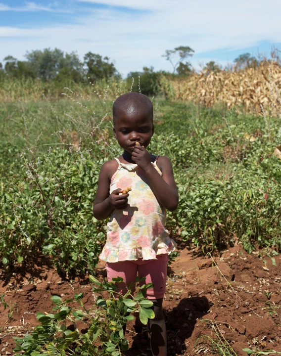 a girl standing in a field holds a plant in her mouth