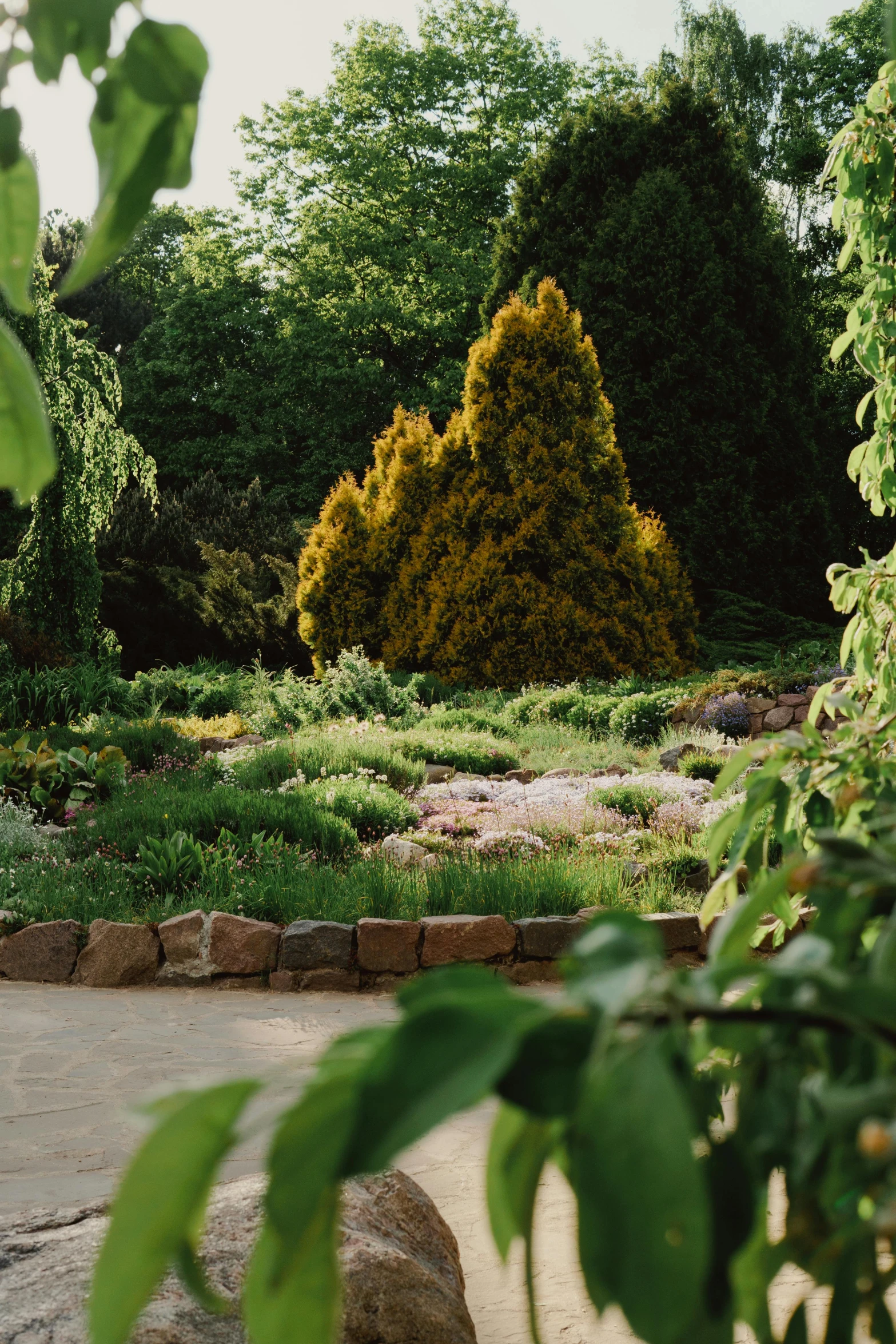 a large garden with trees and shrubs in the background