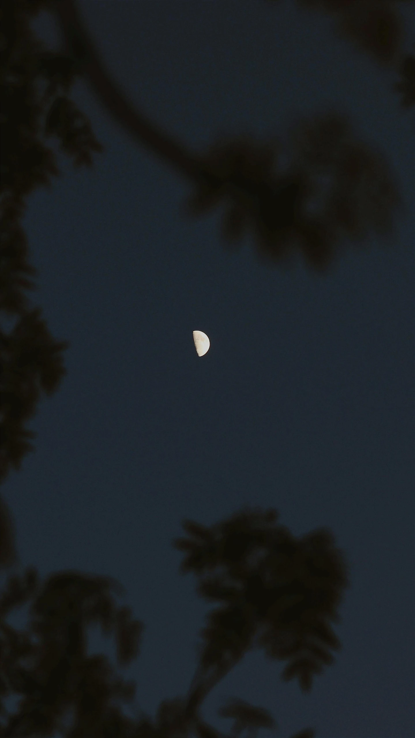 a small white moon in a dark night sky