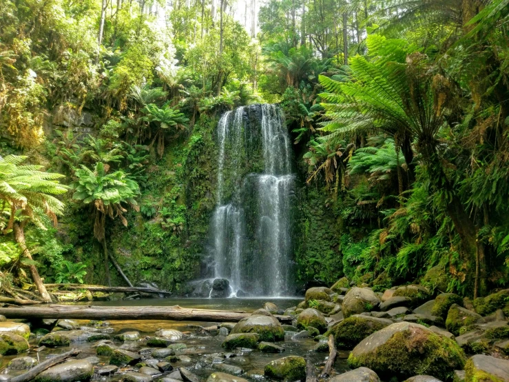 a waterfall surrounded by trees with rocks in front of it