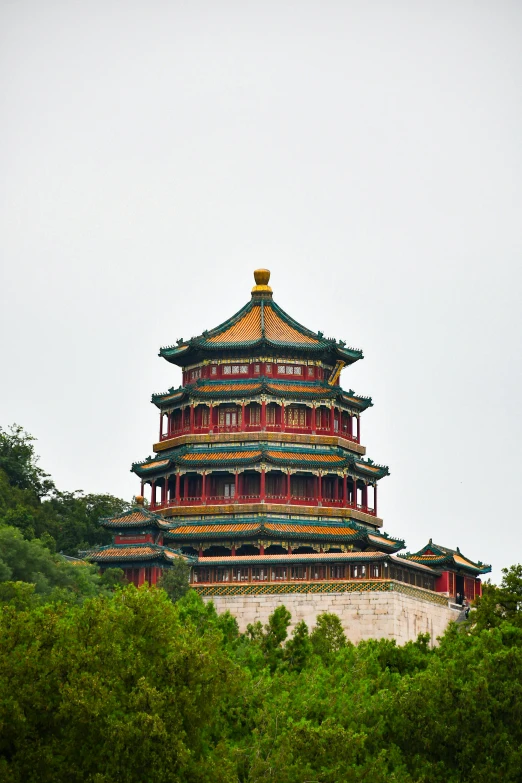 a tall tower stands in the middle of trees