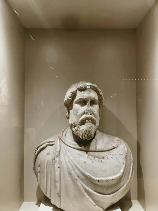 a bust of a man is shown in an old glass case