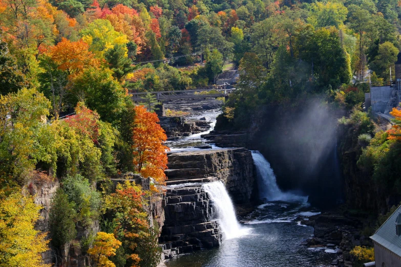 the waterfall is surrounded by lush trees