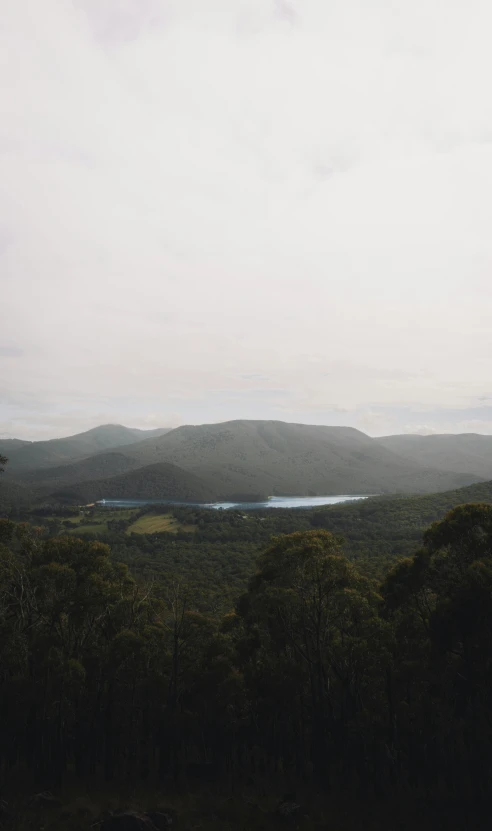 a scenic mountain view with a lake and forest