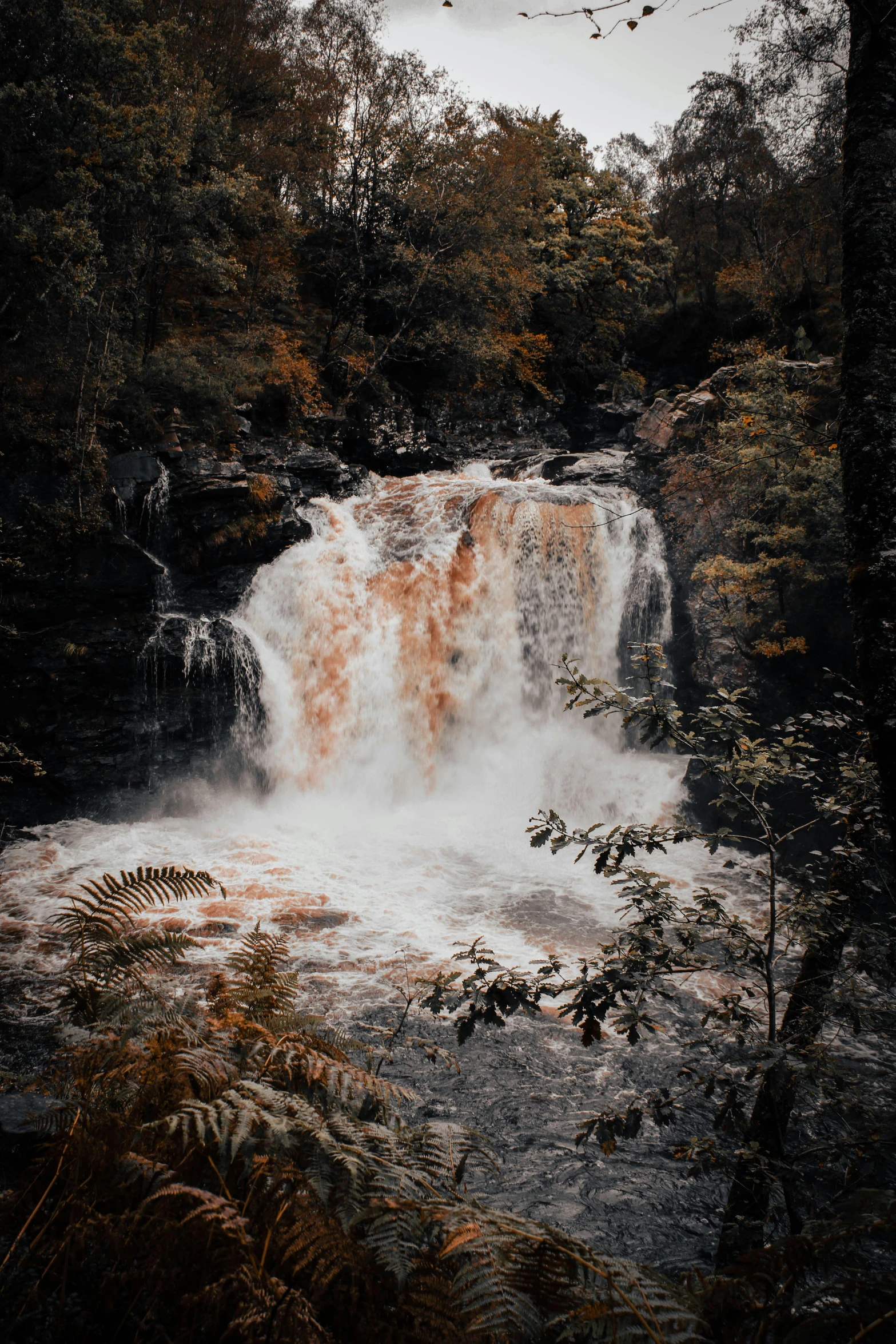 the image is of the fall with a very large waterfall