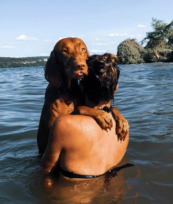 a man riding on the back of a brown dog