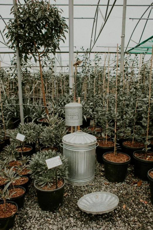 many potted plants in a greenhouse with a large tank