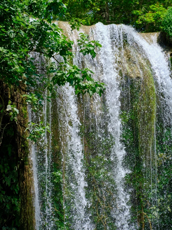 a waterfall in the woods covered with water