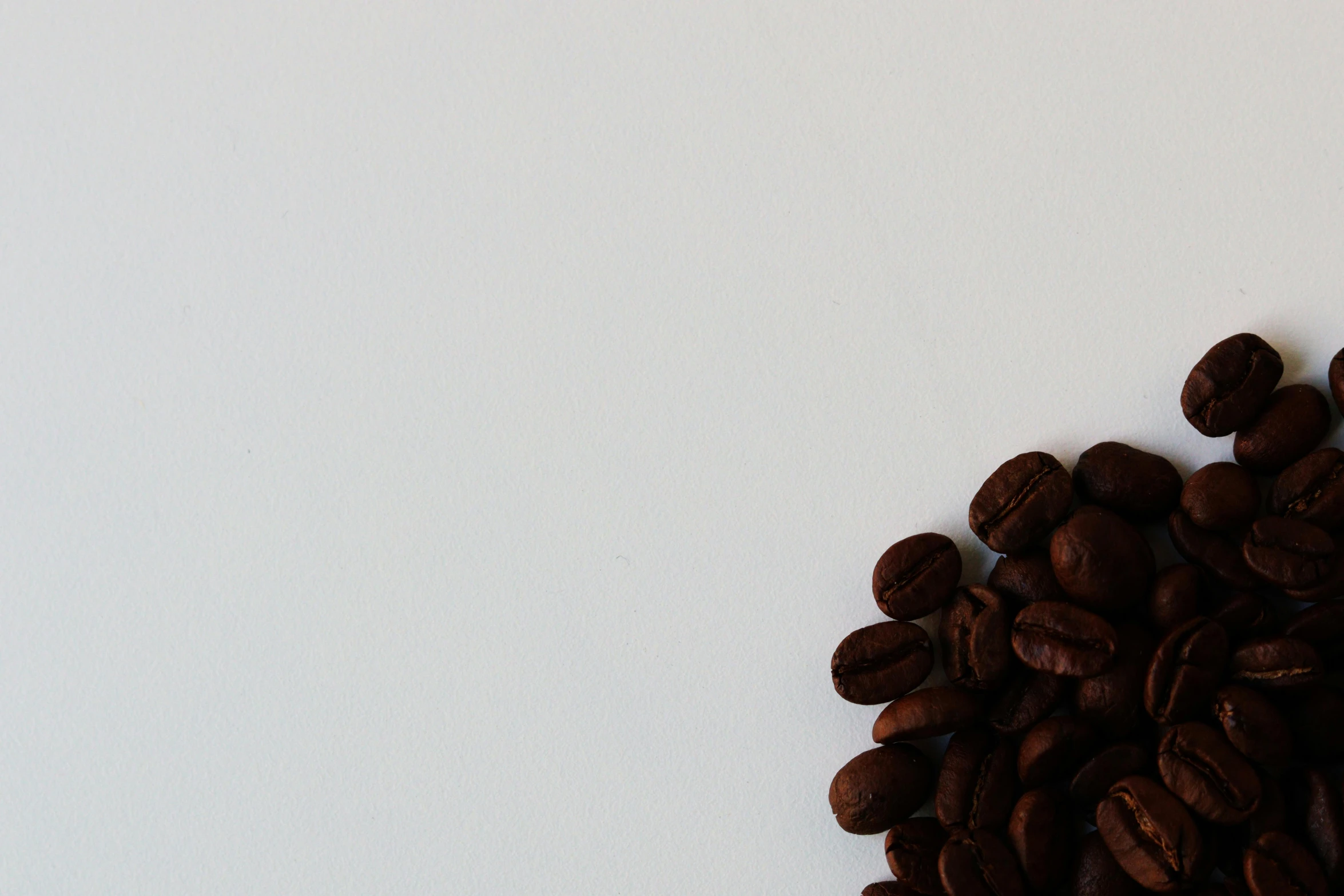 a pile of coffee beans sit on the ground