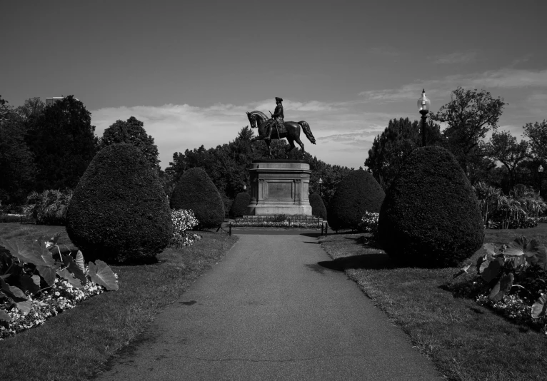 a black and white image of a garden