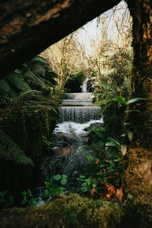 water flows out of a river in the jungle